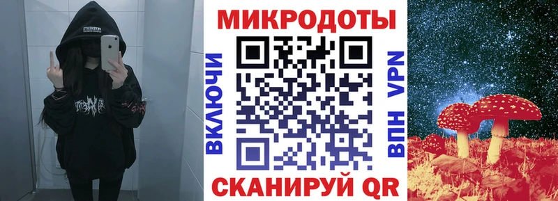 Псилоцибиновые грибы Cubensis Нахабино